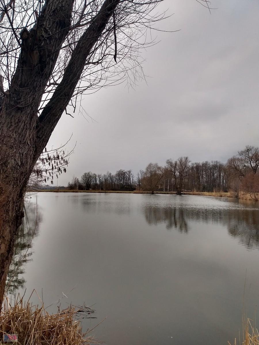 Staw w Zielonkach