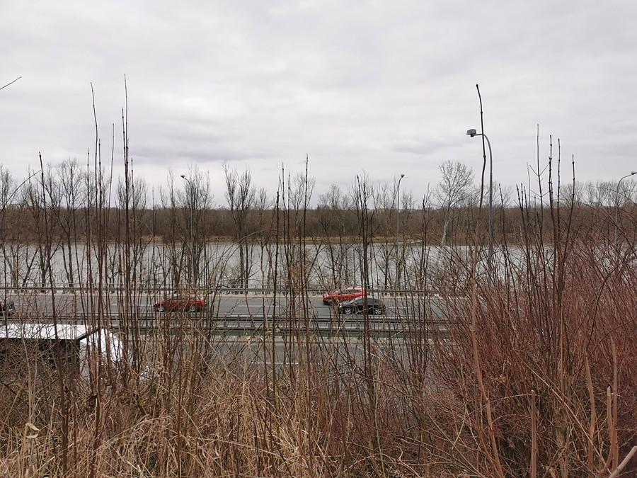 Skarpa wiślana