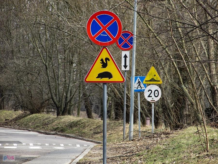 Uliczka zwierzaków