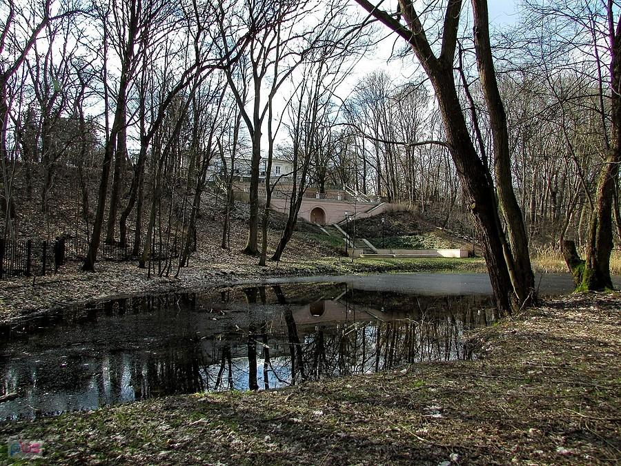 Staw pod pałacem Krasińskich