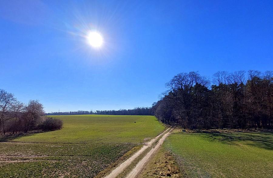 Widok na pola w Lisówkach