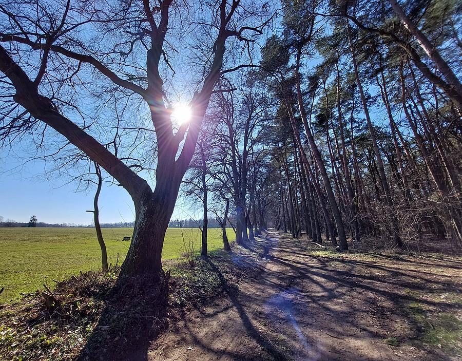 Początek WPN-u w Lisówkach