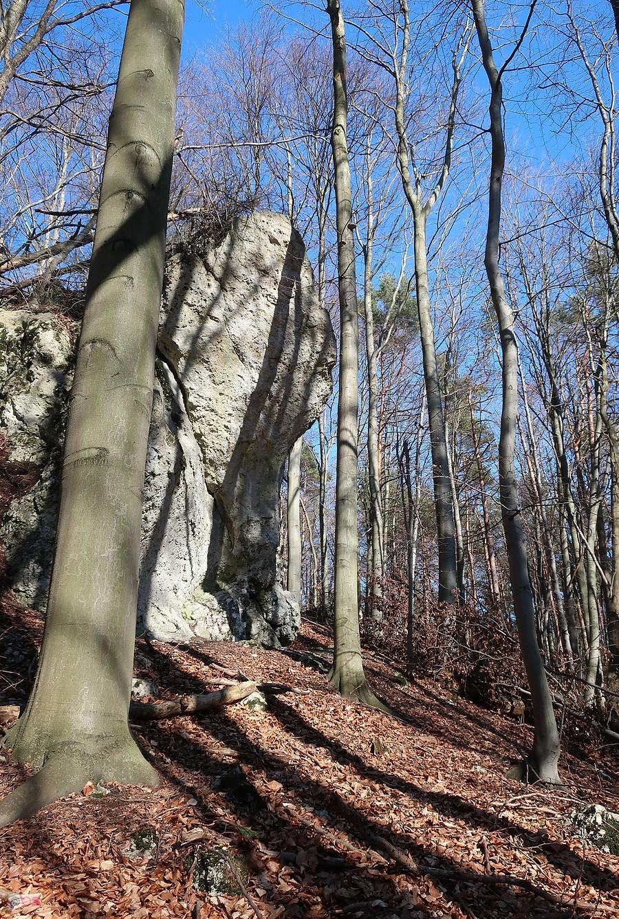 Skały Kadry - V
