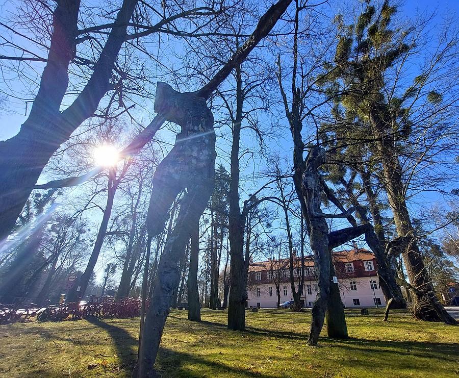 Rzut słońcem :), Kórnik