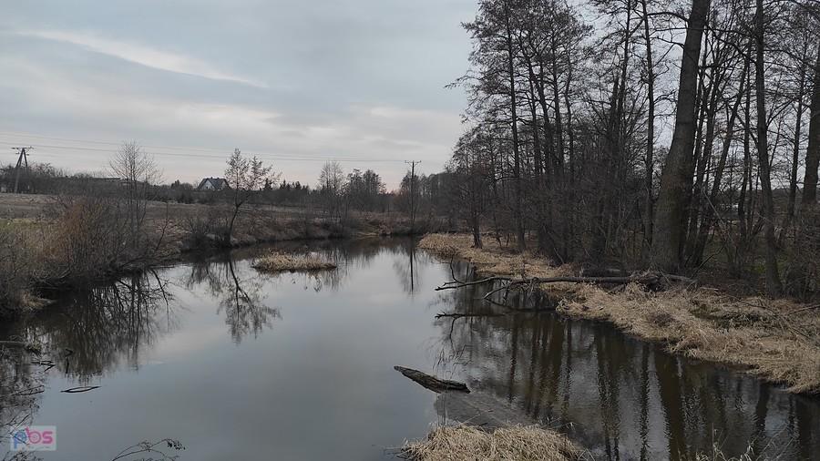 Mroga pod Dmosinem