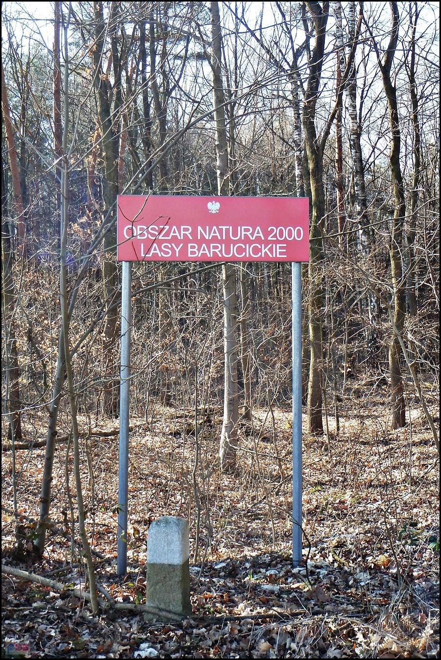 Ta być może już była...?