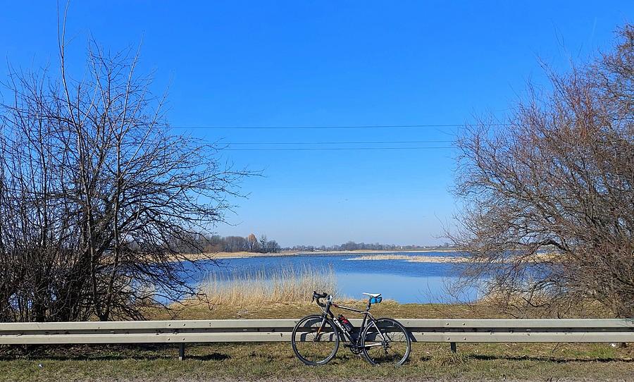 Przy stawach w Szczodrzykowie