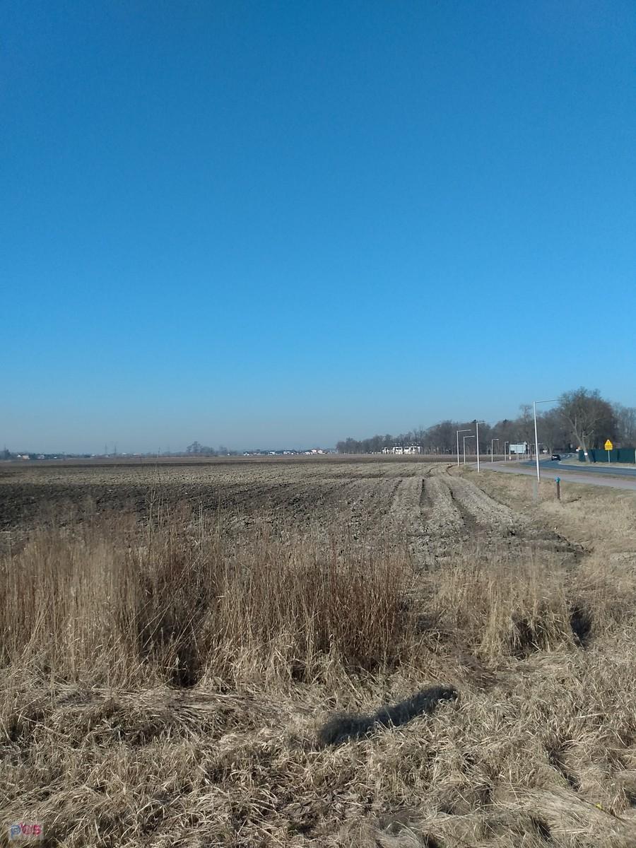 Po szkółce drzew zostało pole