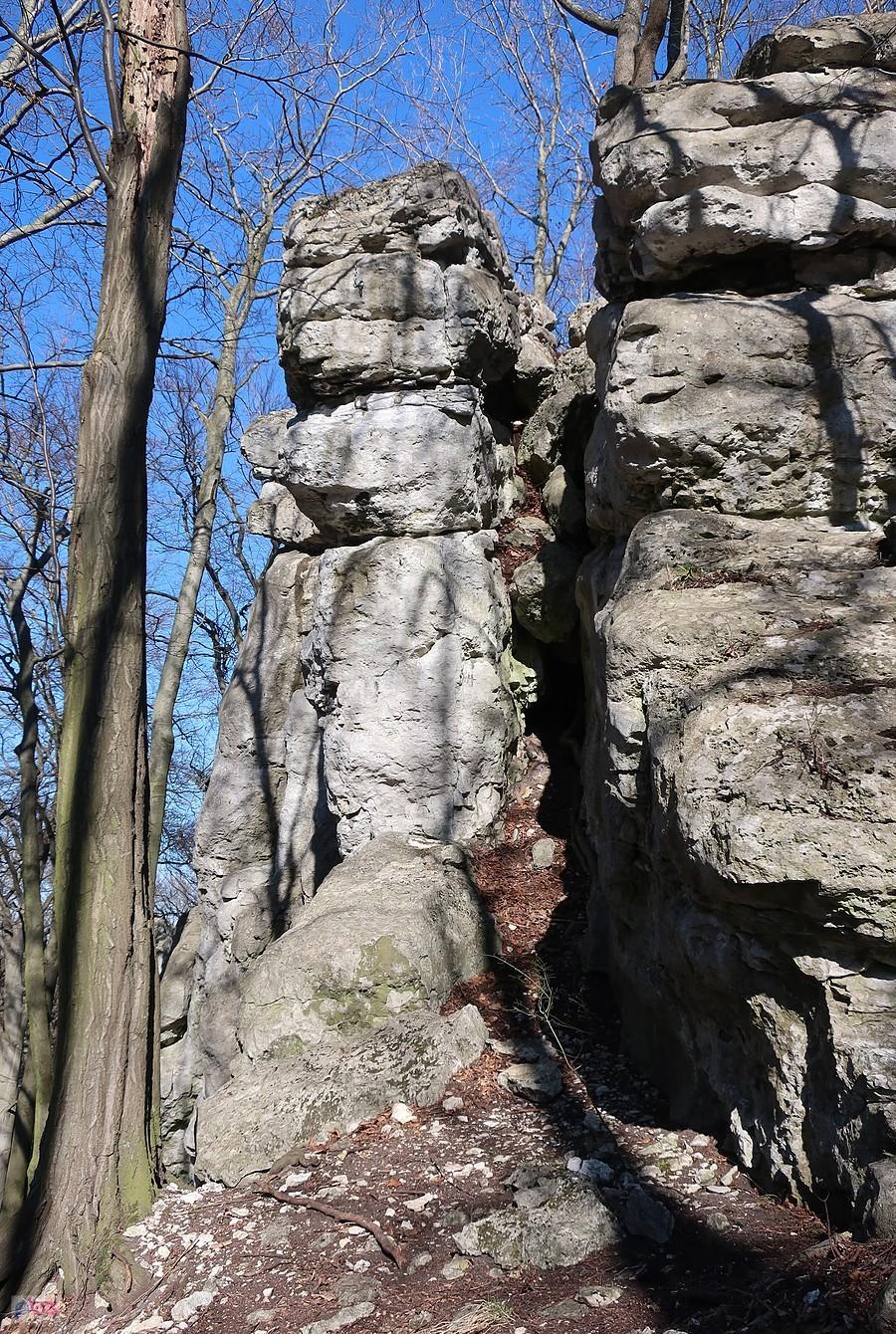 Skały na Zielonej Górze