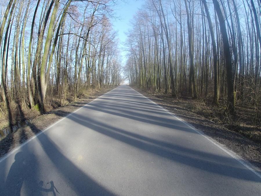 Droga do Gassów