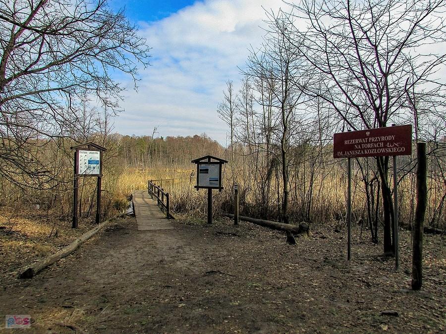 Wejście na pomost widokowy jeziora Torfy