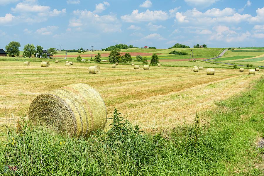Podżarze - integralna część wsi Pińczyce