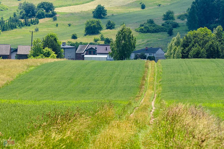 Glinianki - Trzebiesławice, Dąbrowa Górnicza, bardzo lubię takie drogi, a tym bardziej z górki