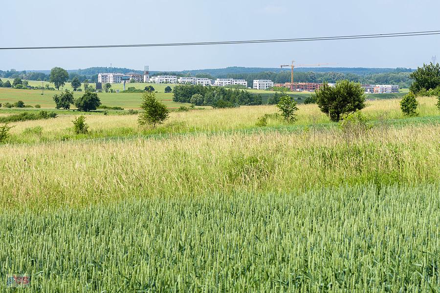 Glinianki - Trzebiesławice, Dąbrowa Górnicza, widok w kierunku drogi DK 91