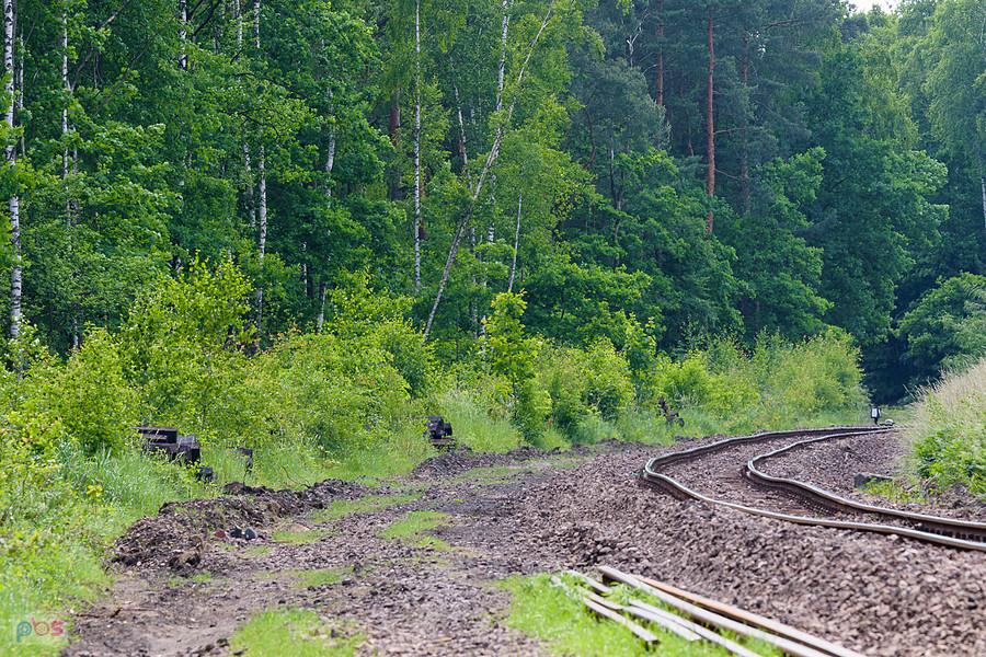 Linia kolejowa D29-183 podg. Dąbrowa Górnicza Piekło - Będzin Łagisza w miejscowości Psary
