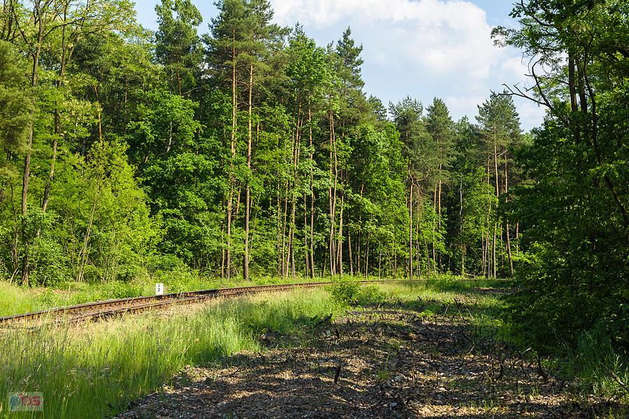 Tor odchodzący od stacji Będzin Łagisza, będący początkiem bocznicy Elektrowni Łagisza