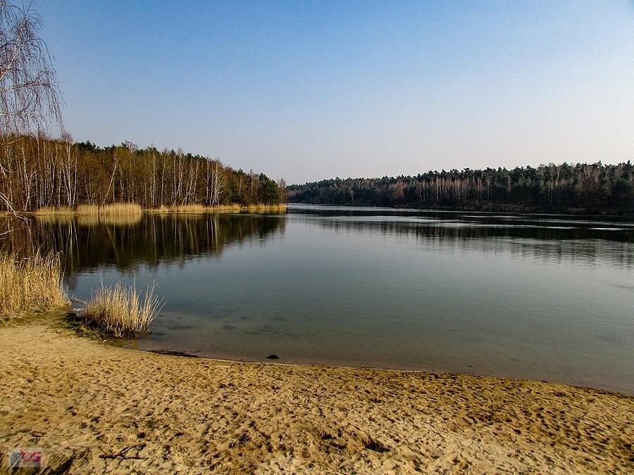 Dzika plaża na stawie w pobliżu Guźni
