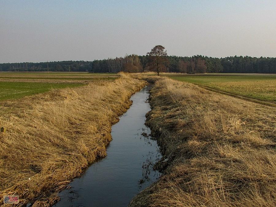 Bobrówka to prawy dopływ Bzury