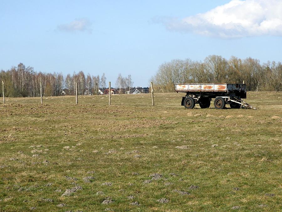 Pole pod Redlicą - a gzie kozy ?