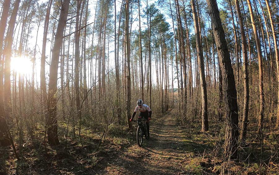 W lesie najprzyjemniej, szczególnie na MTB