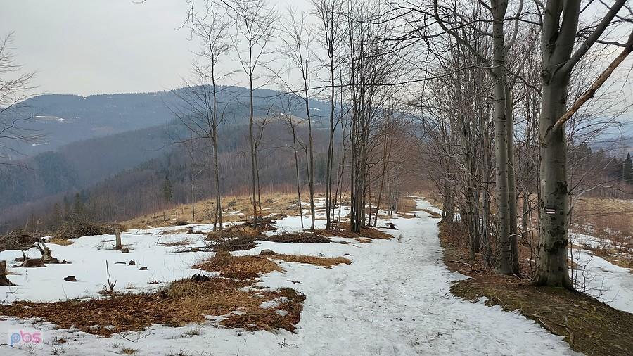 Śnieg jest ale nie przeszkadza