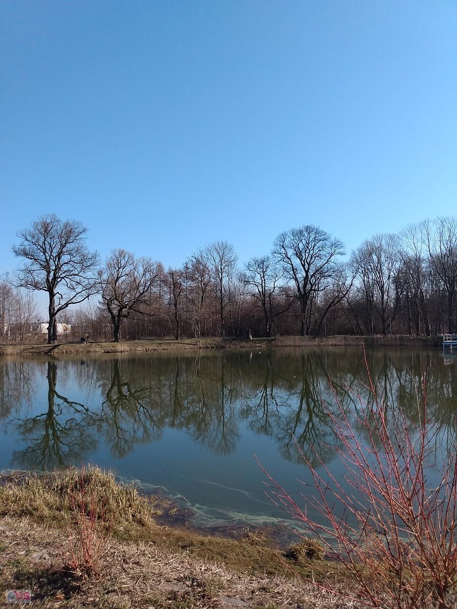 Staw w Ołtarzewie