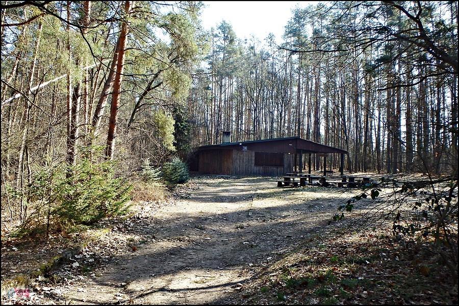Daglewiczówka
