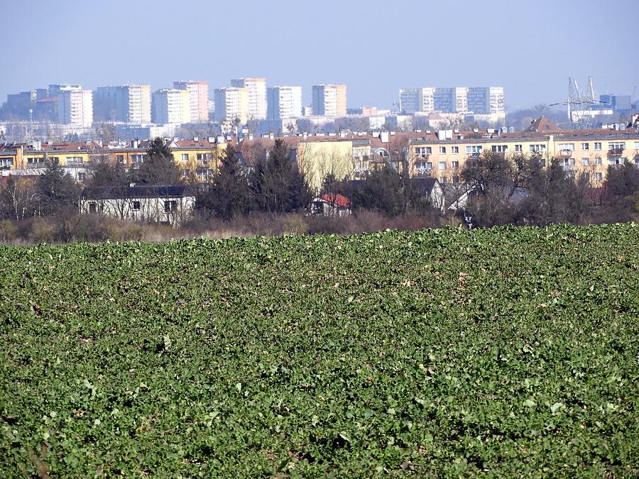 W oddali Szczecin - widok spod Karwowa.