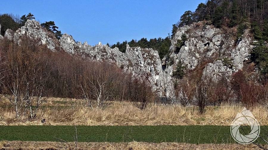 Brama Bolechowicka