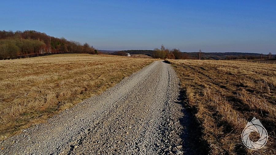 przez pola racławickie
