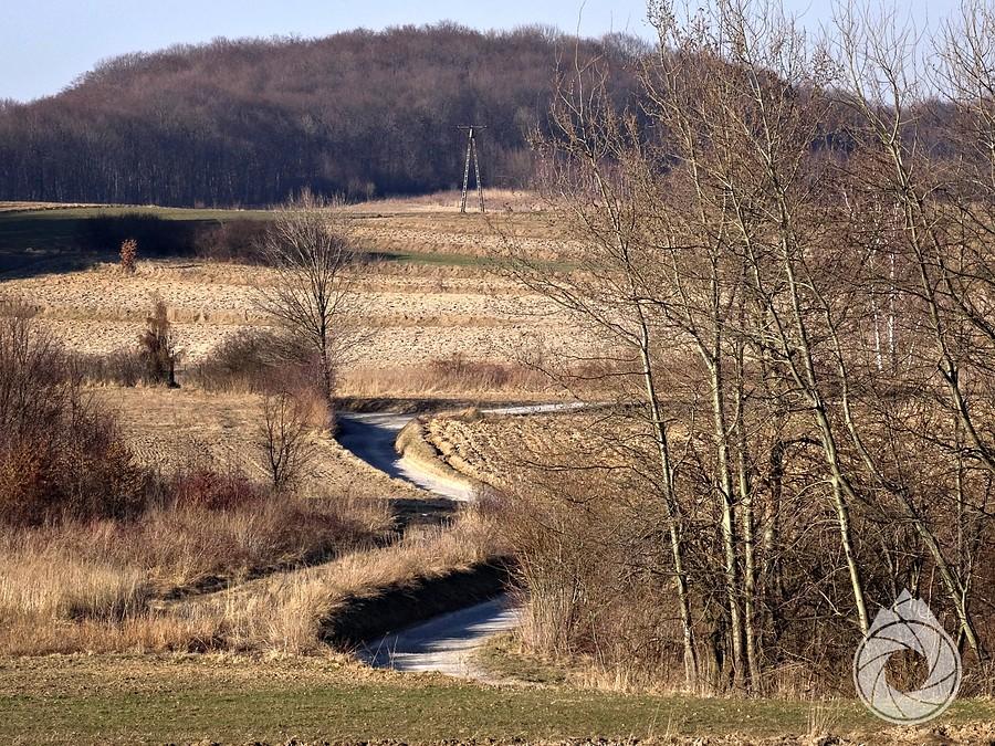 droga wężuje przez pola w stronę Łazów i Będkowic