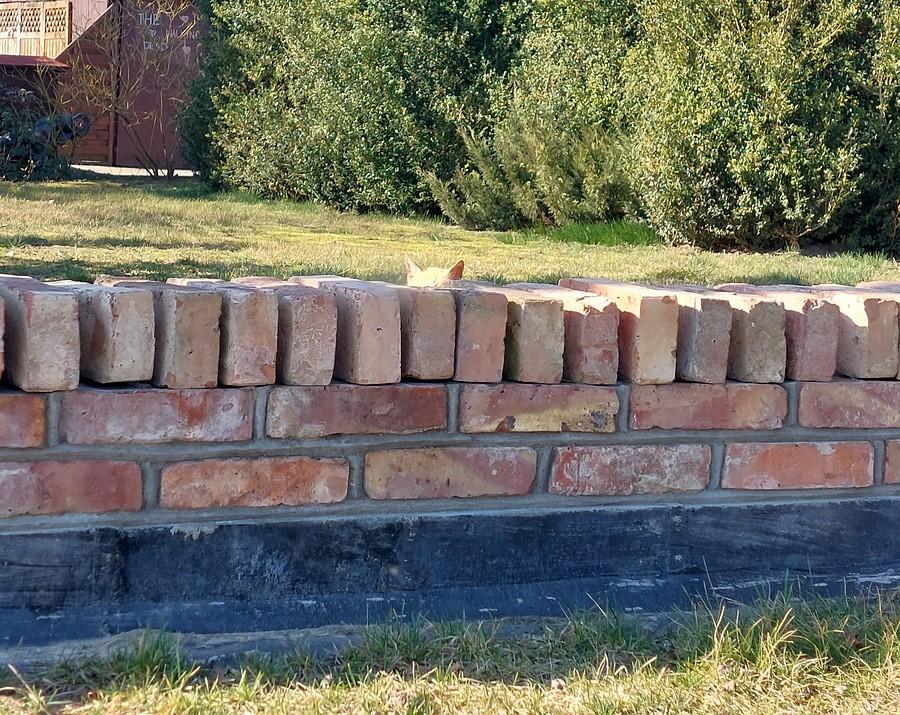 Znajdź kotka :)