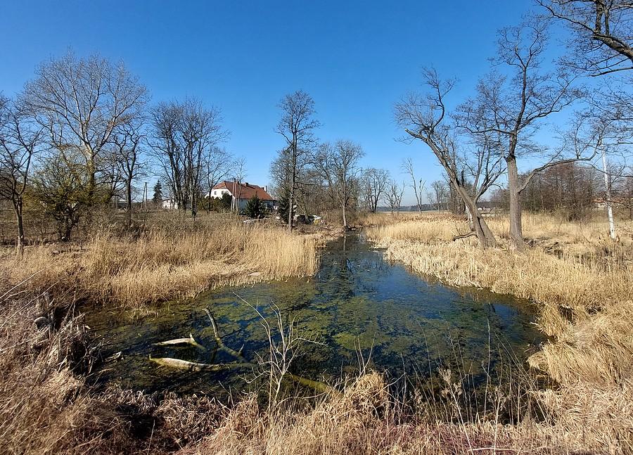 Bagno w Trzcielinie, tym razem w słońcu