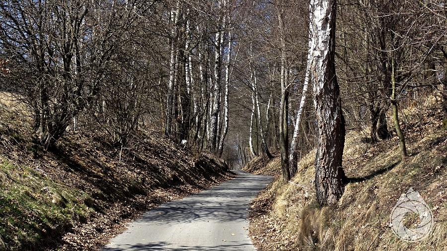 wąski, jednokierunkowy i stromy podjazd na Grodzisko