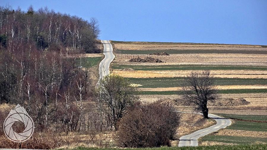 droga przez pola sułoszowskie