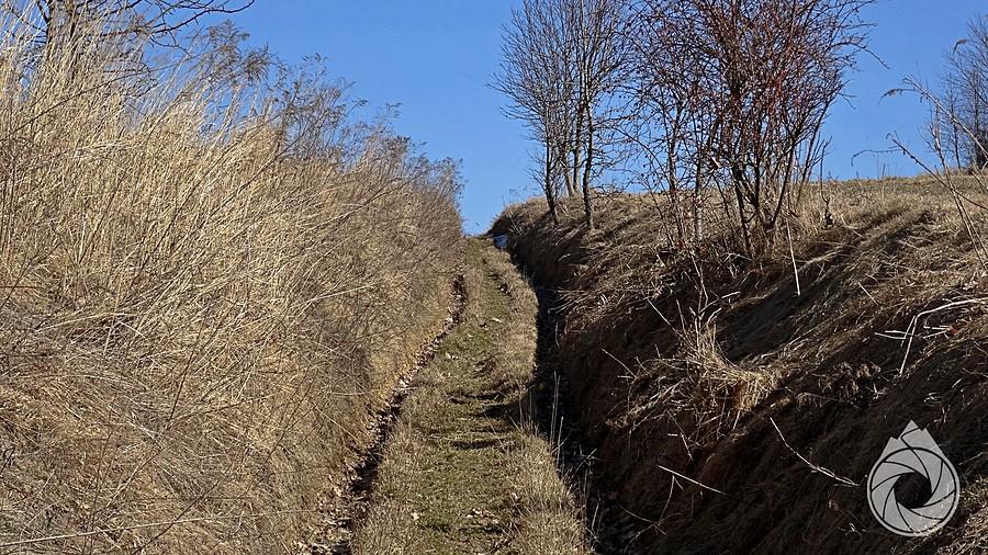 wąskie dróżki śródpolne nad Racławice