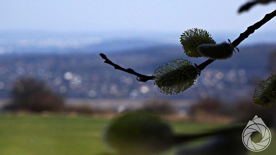 wiosna pełną parą na polach nad Brzeziną i Radwanowicami