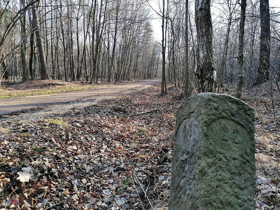Słupek oddziałów leśnych miasta Bytom - początek XXw.