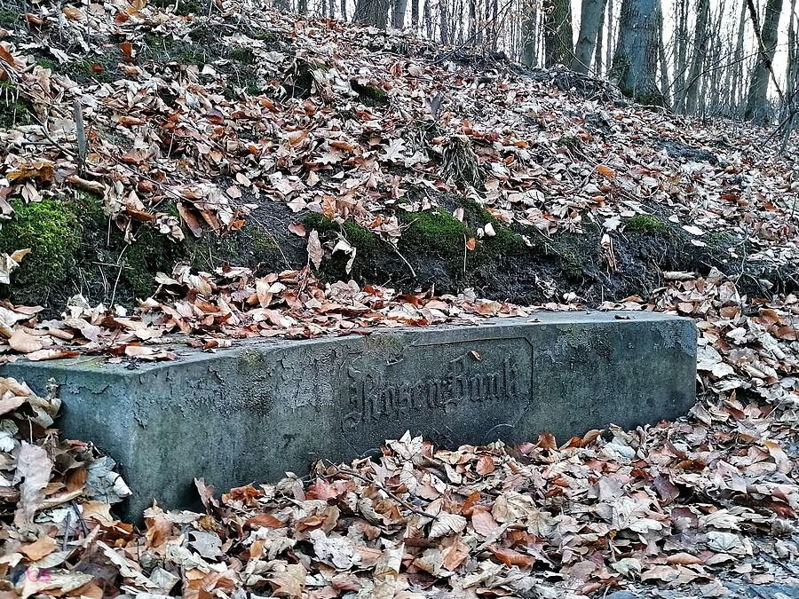 Różana ławeczka z 1888r.
