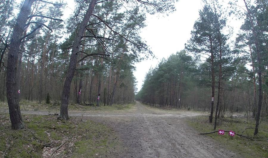 Trasa PRO przez Kampinos