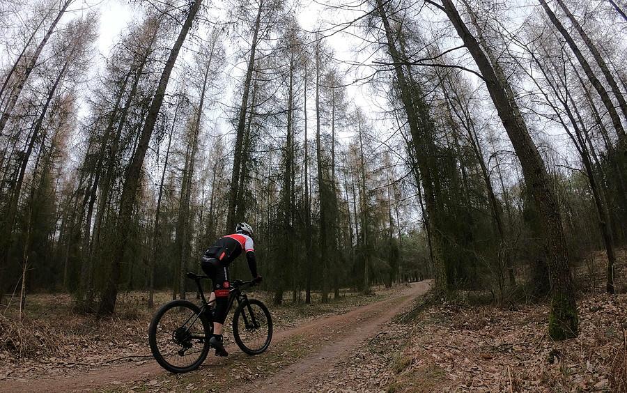 W lesie na MTB najprzyjemniej