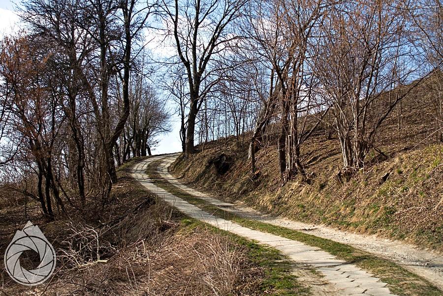 mała sztajfa nasto-procentowa