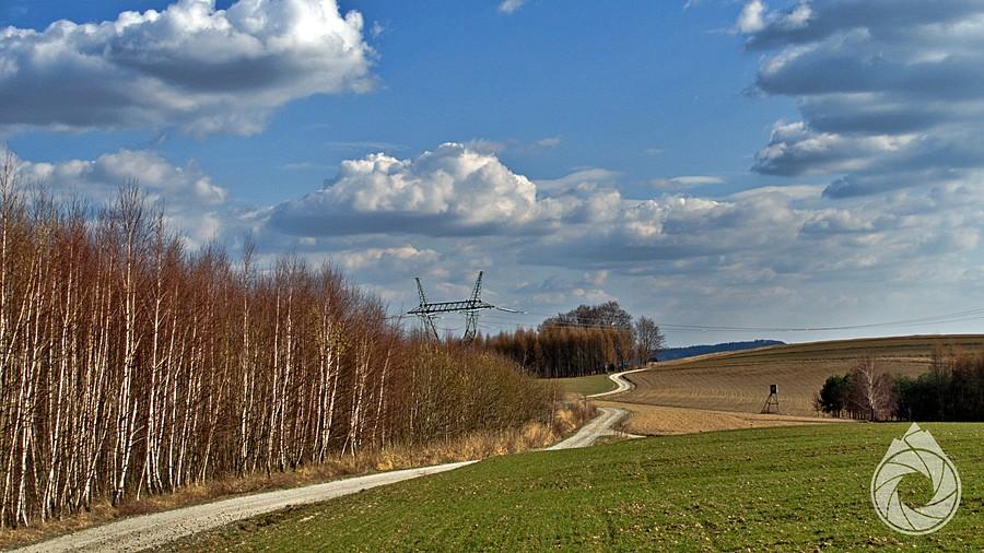 drogi przez pola w stronę Niebylca