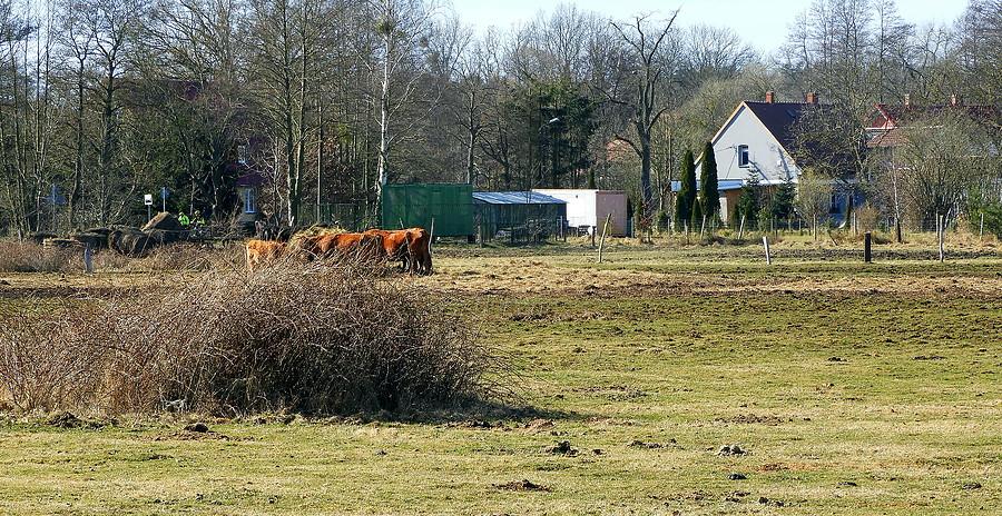 Na skraju miejscowości Tatynia.