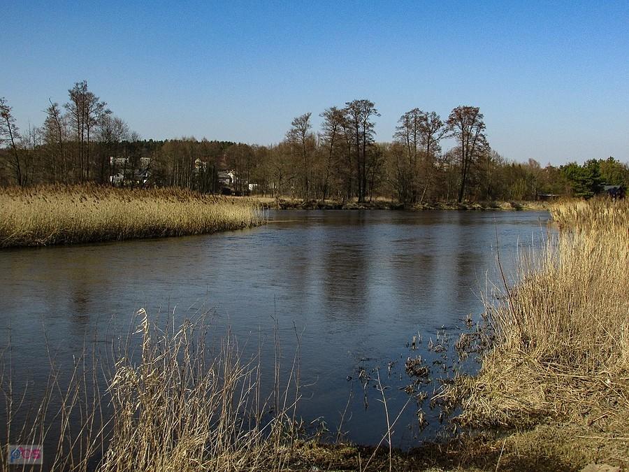 Pilica, w oddali widać zabudowania wsi Biejków