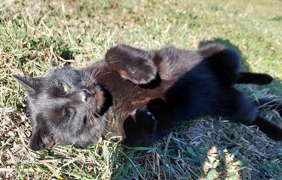 Pozycja boczna ustalona :)