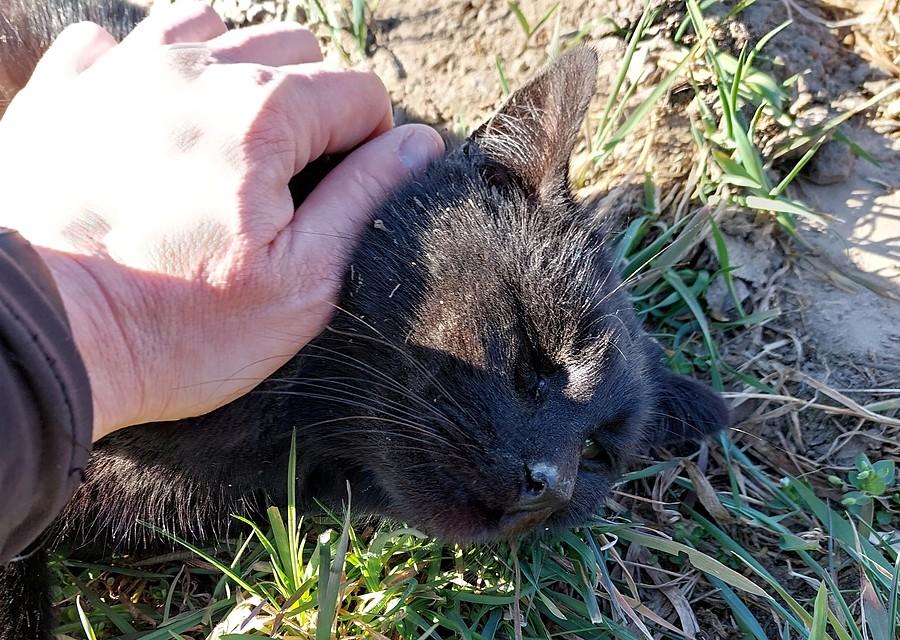 Obowiązkowe głaskanko bestii :)