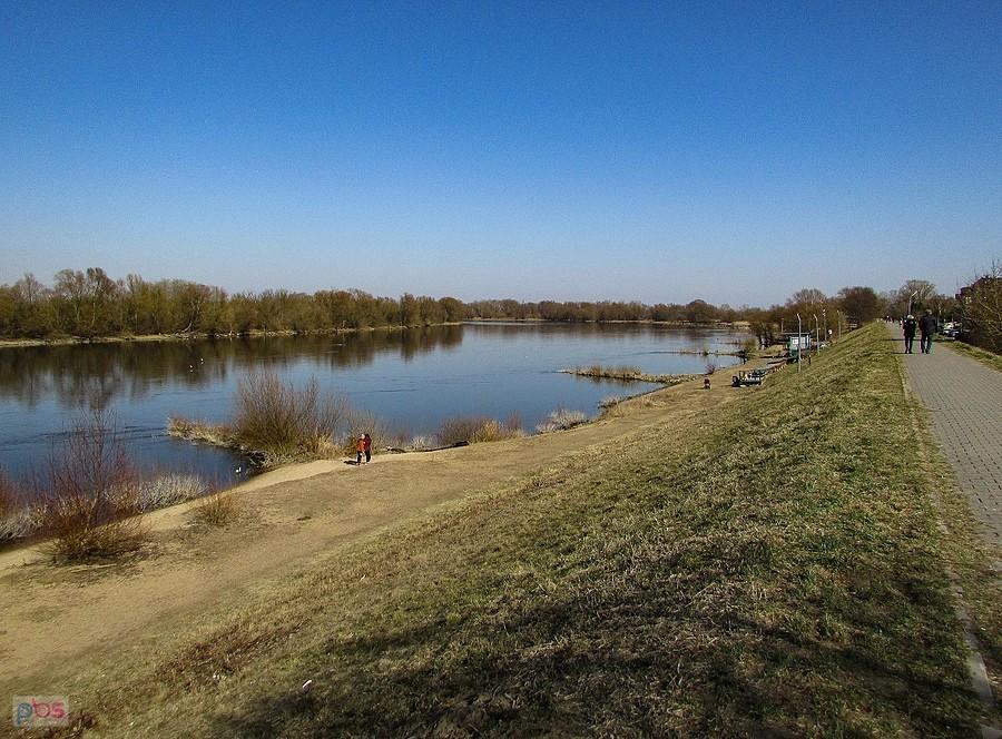 Narew i wał przeciwpowodziowy