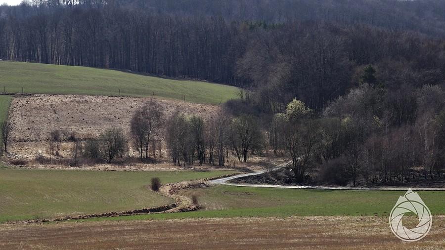 kawałek zakrętu zjazdu do Żar