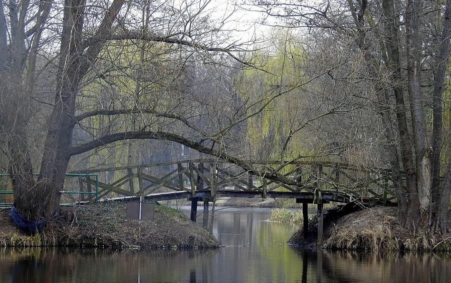 Poznańska Dębina, wersja pochmurna